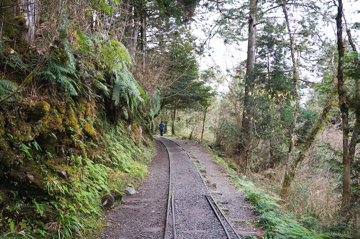宜蘭全球最美步道》見晴懷古步道，千年神木森林鐵道秘境，可觀山可看雲可見聖稜線，短短900M輕鬆又寫意 @紫色微笑 Ben&amp;Jean 饗樂生活