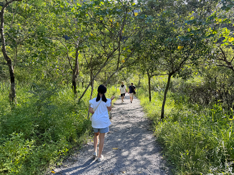 新寮瀑布步道》漫步輕鬆好走森林步道，探訪雙層沁涼瀑布 @紫色微笑 Ben&amp;Jean 饗樂生活