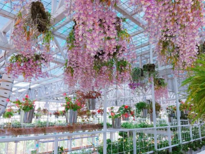 【香草菲菲芳香植物博物館】宜蘭員山夢幻溫室花園！花園自助餐、天空步道、香氛皂DIY雨天室內親子景點推薦 @紫色微笑 Ben Jean 饗樂生活