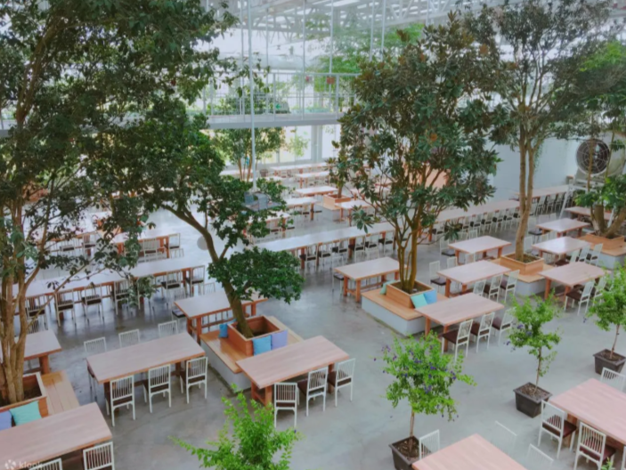 【香草菲菲芳香植物博物館】宜蘭員山夢幻溫室花園！花園自助餐、天空步道、香氛皂DIY雨天室內親子景點推薦 @紫色微笑 Ben Jean 饗樂生活