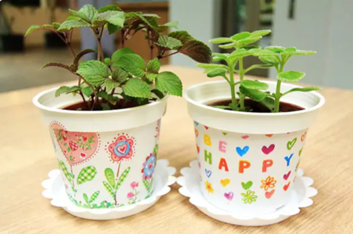 【香草菲菲芳香植物博物館】宜蘭員山夢幻溫室花園！花園自助餐、天空步道、香氛皂DIY雨天室內親子景點推薦 @紫色微笑 Ben Jean 饗樂生活