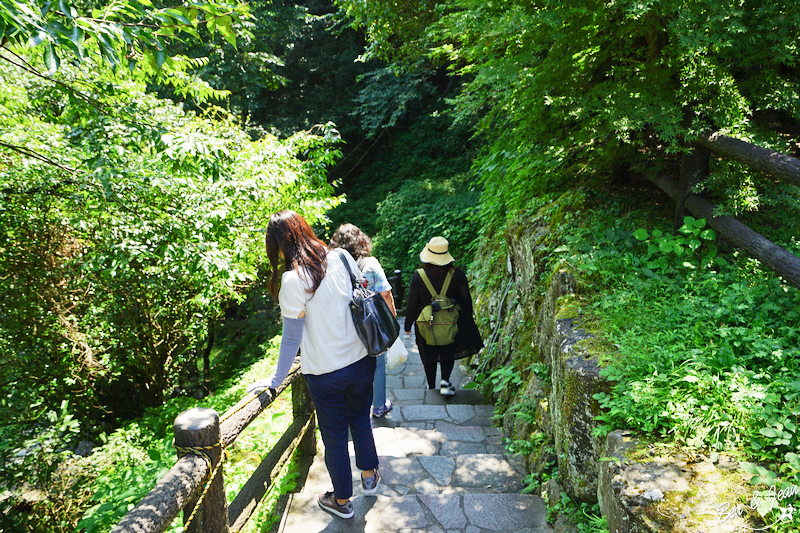 高千穗峽》美如仙境的峽谷，是宮崎縣的地標，也是日本神話的起源地(含交通及划船預約方式) @紫色微笑 Ben&amp;Jean 饗樂生活