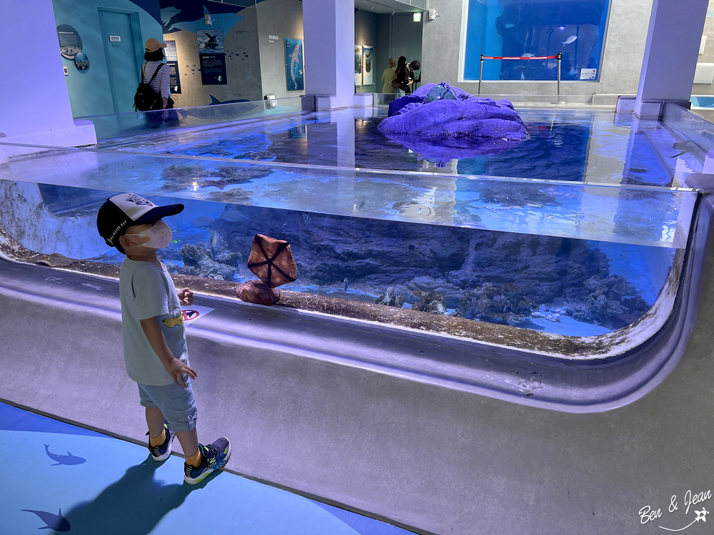 基隆景點》潮境智能海洋館 i OCEAN~五大展區，療癒水母悠游、超7米高大洋缸、5G沉浸式互動玩VR （優惠門票票價、線上預約、停車場地圖） @紫色微笑 Ben&amp;Jean 饗樂生活