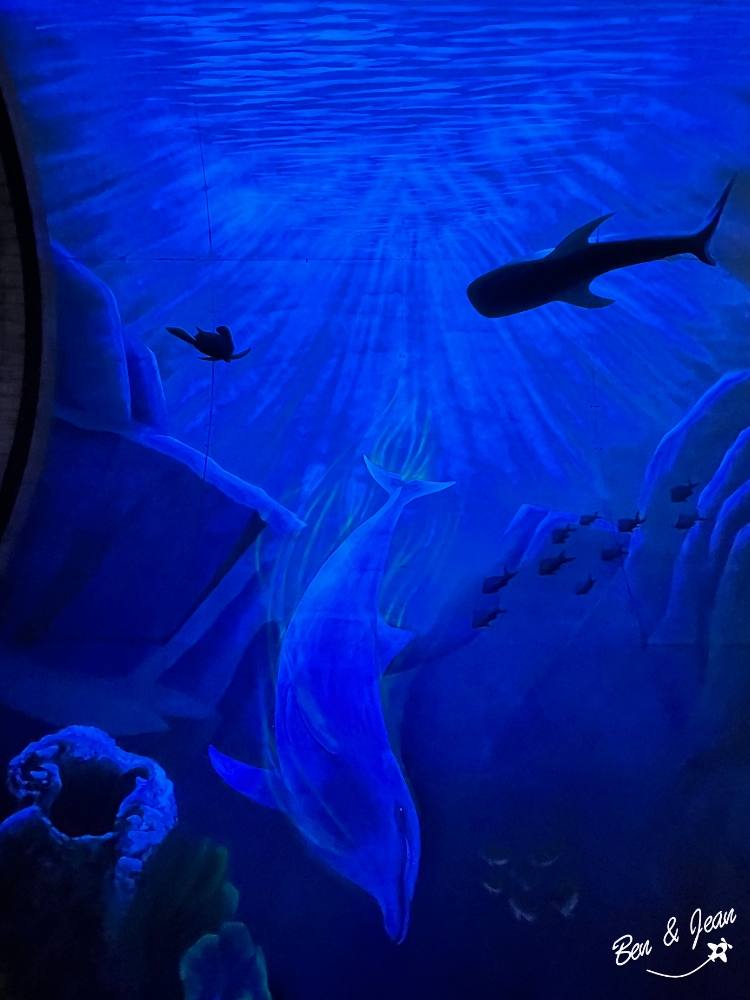 蘇東隧道(免門票)3D海洋彩繪海底隧道  燈光照射下秒變身螢光世界 網美打卡秘境｜宜蘭蘇澳景點 @紫色微笑 Ben&amp;Jean 饗樂生活