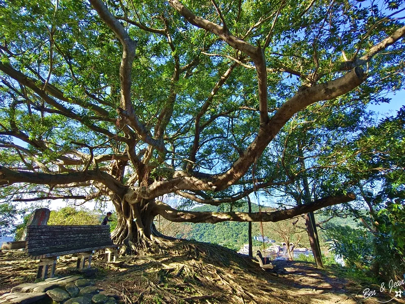 砲台山風景區》巨大老榕，鳥瞰三澳風景(蘇澳、北方澳、南方澳)、扇形火車庫 ，軍商漁港三合一的美景盡收眼底 @紫色微笑 Ben&amp;Jean 饗樂生活