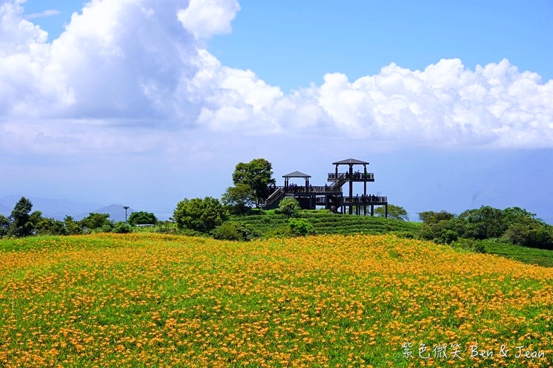 【六十石山金針花海】2025金針花必拍十大景點、最新花況！交通管制、美食住宿攻略 @紫色微笑 Ben Jean 饗樂生活