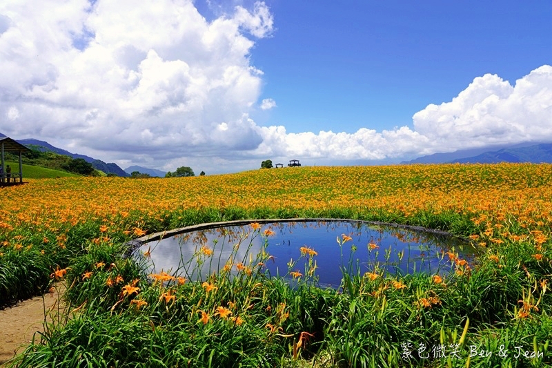【六十石山金針花海】2025金針花必拍十大景點、最新花況！交通管制、美食住宿攻略 @紫色微笑 Ben Jean 饗樂生活