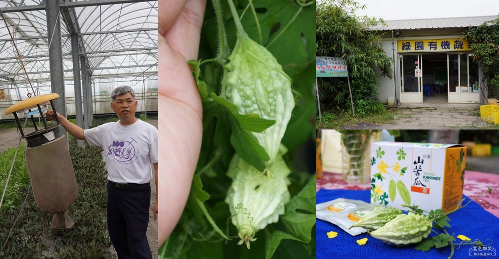 【壯圍鄉景點一日遊】TOP6推薦～壯圍沙丘.親子農場.海灘踏浪觀景平台.榖倉餐廳.南瓜園草莓園，撐篙划竹牌仔船 @紫色微笑 Ben&amp;Jean 饗樂生活