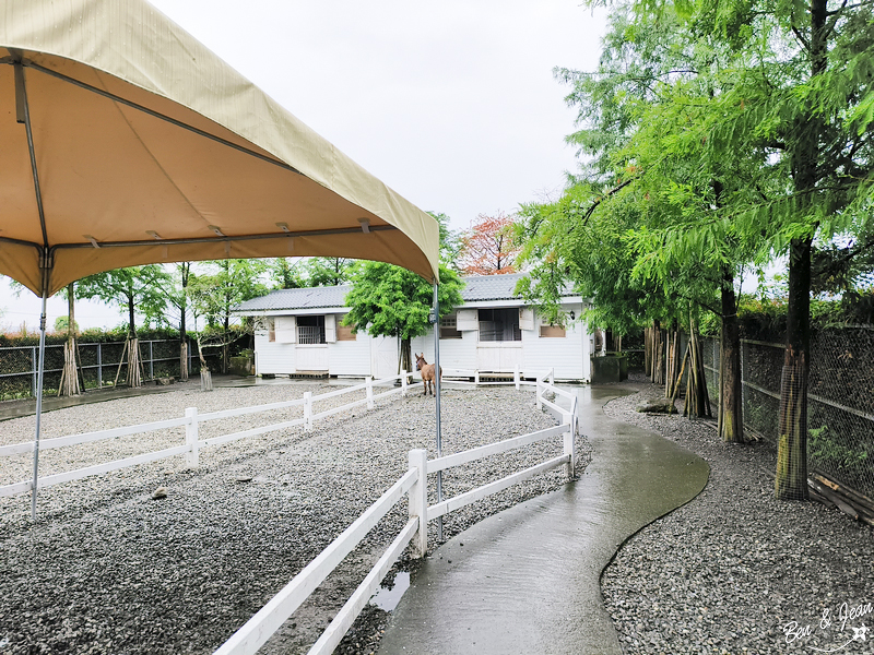 星寶蔥體驗農場》三星蔥麵包、披薩DIY好吃又好玩，親餵呆萌可愛小毛驢、梅花鹿好療癒 @紫色微笑 Ben&amp;Jean 饗樂生活