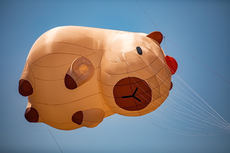 【2025冬山風箏節嘉年華】三奇美徑放風箏趣!彩繪DIY+免費接駁資訊整理 @紫色微笑 Ben Jean 饗樂生活 【2025冬山風箏節嘉年華】三奇美徑放風箏趣!彩繪DIY+免費接駁資訊整理 @紫色微笑 Ben Jean 饗樂生活