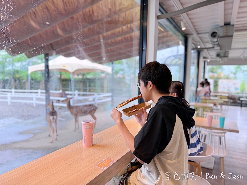 星寶蔥體驗農場》三星蔥麵包、披薩DIY好吃又好玩，親餵呆萌可愛小毛驢、梅花鹿好療癒 @紫色微笑 Ben&amp;Jean 饗樂生活