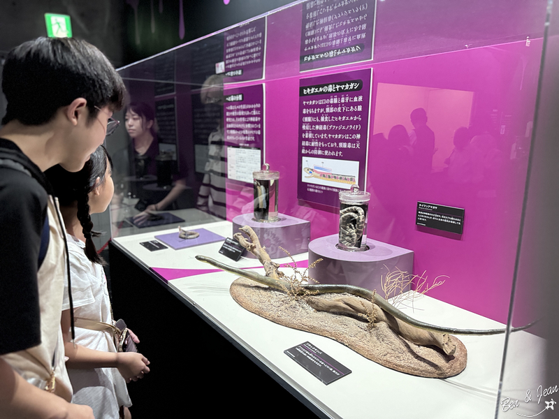 名古屋市科學館》互動性超強的科學主題樂園，全球最大天文館星象投影劇場，龍捲風實驗室、放電實驗室、極寒實驗室不容錯過 @紫色微笑 Ben&amp;Jean 饗樂生活