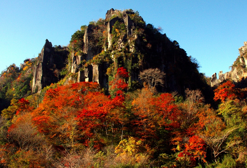 ITF台北國際旅展11/1南港登場，日本館亮點整理，免費門票這樣拿!! @紫色微笑 Ben&amp;Jean 饗樂生活