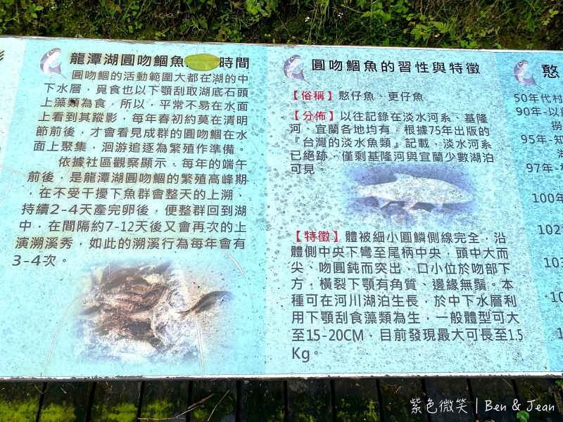 龍潭湖風景區》龍潭湖旁絕美環湖步道、大碗公溜滑梯、白色貨櫃屋 @紫色微笑 Ben&amp;Jean 饗樂生活