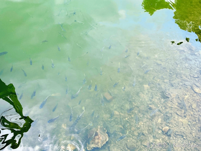 龍潭湖風景區》龍潭湖旁絕美環湖步道、大碗公溜滑梯、白色貨櫃屋 @紫色微笑 Ben&amp;Jean 饗樂生活