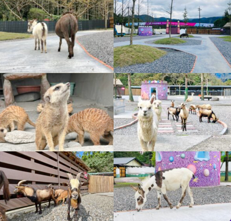 【長埤湖精靈村】和服體驗×可愛動物區×彩虹噴泉，輕鬆漫步環湖超悠閒！ @紫色微笑 Ben Jean 饗樂生活