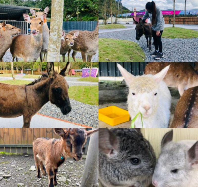 【長埤湖精靈村】和服體驗×可愛動物區×彩虹噴泉，輕鬆漫步環湖超悠閒！ @紫色微笑 Ben Jean 饗樂生活
