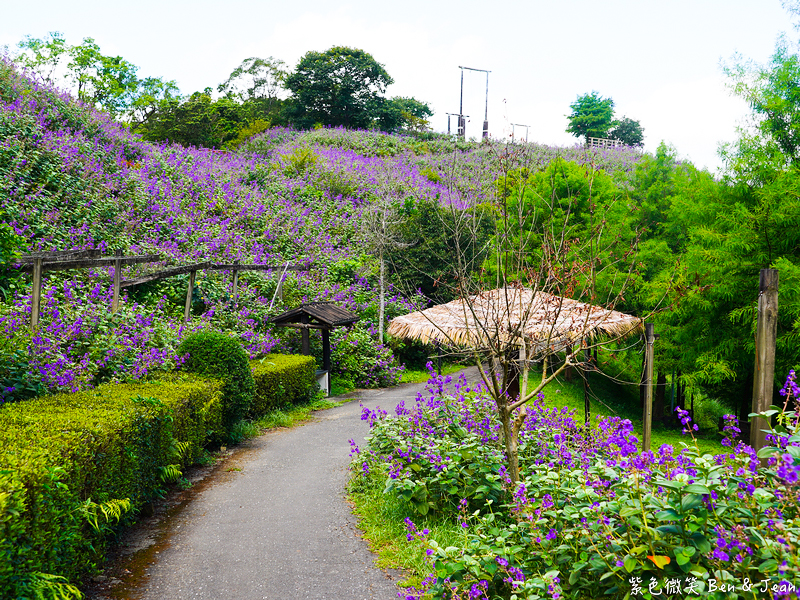 【香格里拉休閒農場】古早童玩有趣又好玩，檜木裝修自然香氛，夏日銀絨牡丹季正熱門 @紫色微笑 Ben Jean 饗樂生活