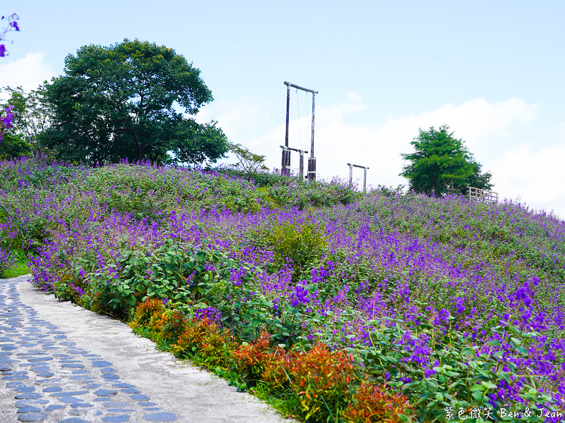 【香格里拉休閒農場】古早童玩有趣又好玩，檜木裝修自然香氛，夏日銀絨牡丹季正熱門 @紫色微笑 Ben Jean 饗樂生活
