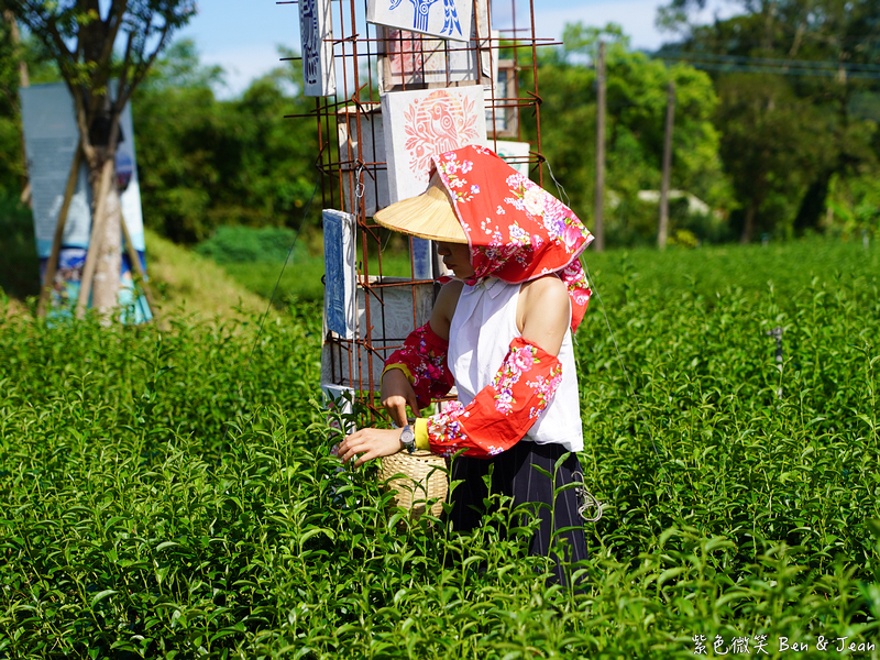 「一日蔥農」「一日製茶師」玩出更有深度的北台灣農遊趣 @紫色微笑 Ben Jean 饗樂生活