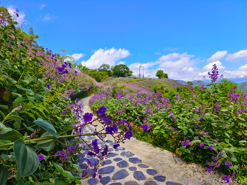 【香格里拉休閒農場】古早童玩有趣又好玩，檜木裝修自然香氛，夏日銀絨牡丹季正熱門 @紫色微笑 Ben Jean 饗樂生活