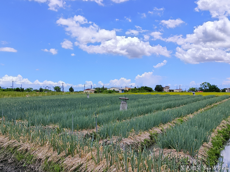 「一日蔥農」「一日製茶師」玩出更有深度的北台灣農遊趣 @紫色微笑 Ben Jean 饗樂生活