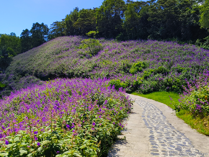 【香格里拉休閒農場】古早童玩有趣又好玩，檜木裝修自然香氛，夏日銀絨牡丹季正熱門 @紫色微笑 Ben Jean 饗樂生活