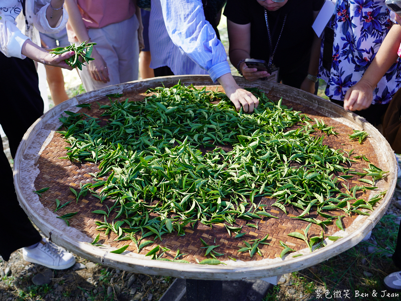 「一日蔥農」「一日製茶師」玩出更有深度的北台灣農遊趣 @紫色微笑 Ben Jean 饗樂生活