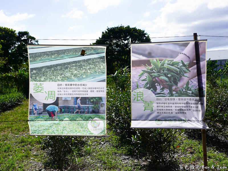 「一日蔥農」「一日製茶師」玩出更有深度的北台灣農遊趣 @紫色微笑 Ben Jean 饗樂生活