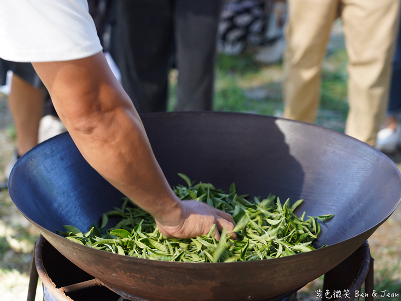 「一日蔥農」「一日製茶師」玩出更有深度的北台灣農遊趣 @紫色微笑 Ben Jean 饗樂生活