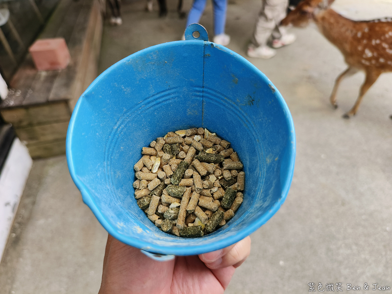 「一日蔥農」「一日製茶師」玩出更有深度的北台灣農遊趣 @紫色微笑 Ben Jean 饗樂生活