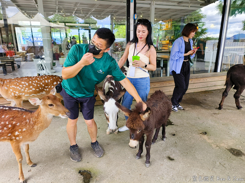 「一日蔥農」「一日製茶師」玩出更有深度的北台灣農遊趣 @紫色微笑 Ben Jean 饗樂生活