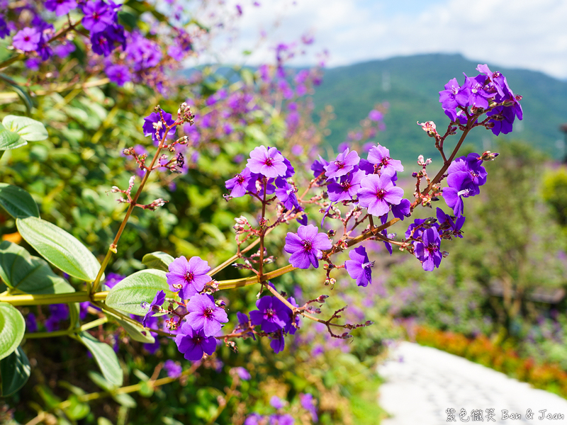 【香格里拉休閒農場】古早童玩有趣又好玩，檜木裝修自然香氛，夏日銀絨牡丹季正熱門 @紫色微笑 Ben Jean 饗樂生活