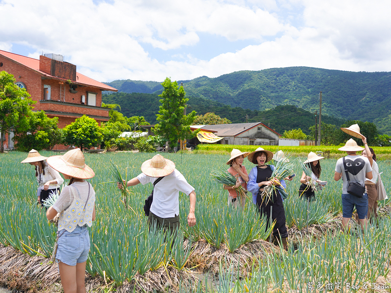 「一日蔥農」「一日製茶師」玩出更有深度的北台灣農遊趣 @紫色微笑 Ben Jean 饗樂生活