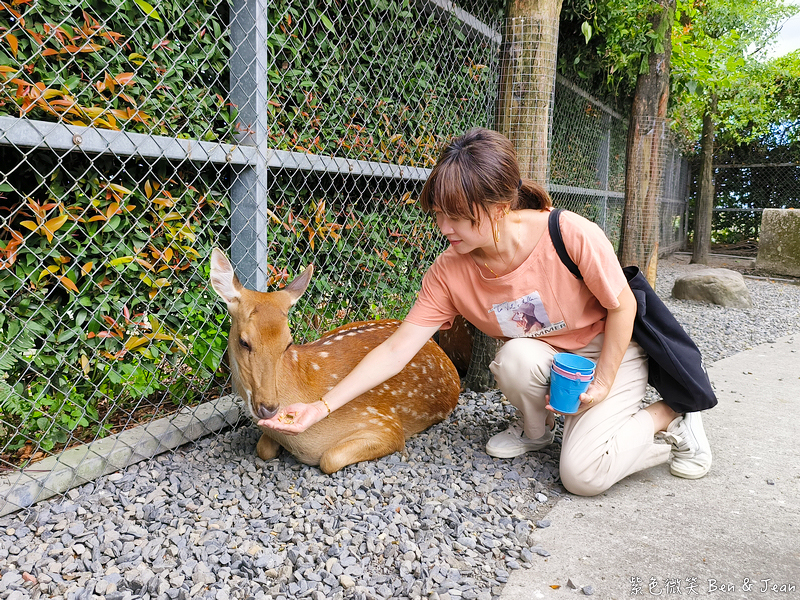 「一日蔥農」「一日製茶師」玩出更有深度的北台灣農遊趣 @紫色微笑 Ben Jean 饗樂生活