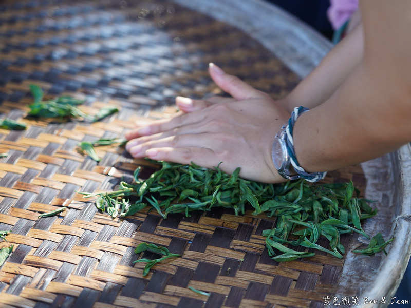 「一日蔥農」「一日製茶師」玩出更有深度的北台灣農遊趣 @紫色微笑 Ben Jean 饗樂生活