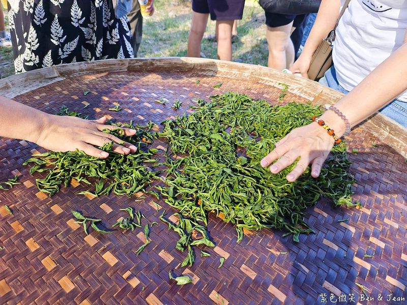 「一日蔥農」「一日製茶師」玩出更有深度的北台灣農遊趣 @紫色微笑 Ben Jean 饗樂生活