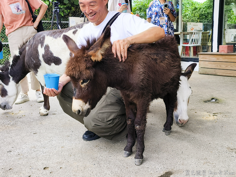 「一日蔥農」「一日製茶師」玩出更有深度的北台灣農遊趣 @紫色微笑 Ben Jean 饗樂生活