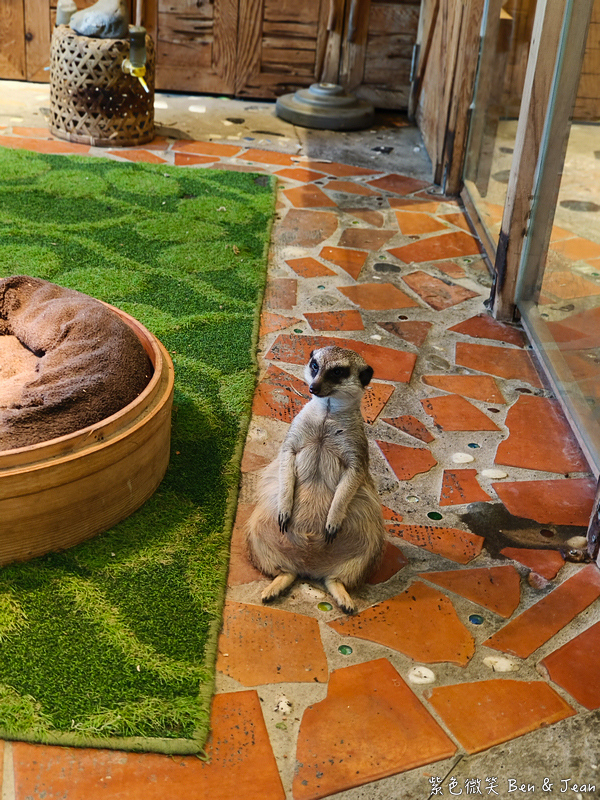 【香格里拉休閒農場】古早童玩有趣又好玩，檜木裝修自然香氛，夏日銀絨牡丹季正熱門 @紫色微笑 Ben Jean 饗樂生活