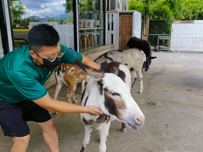 「一日蔥農」「一日製茶師」玩出更有深度的北台灣農遊趣 @紫色微笑 Ben Jean 饗樂生活