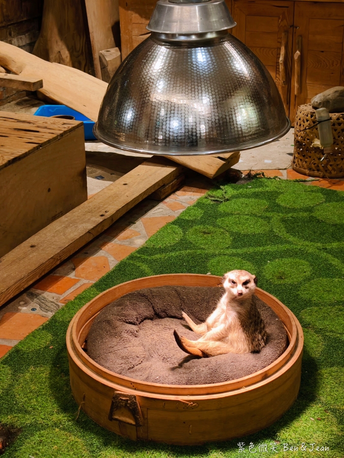 【香格里拉休閒農場】宜蘭一泊二食住宿檜木自然香氛，古早童玩、搓湯圓、放天燈、美拍森林鞦韆 @紫色微笑 Ben Jean 饗樂生活
