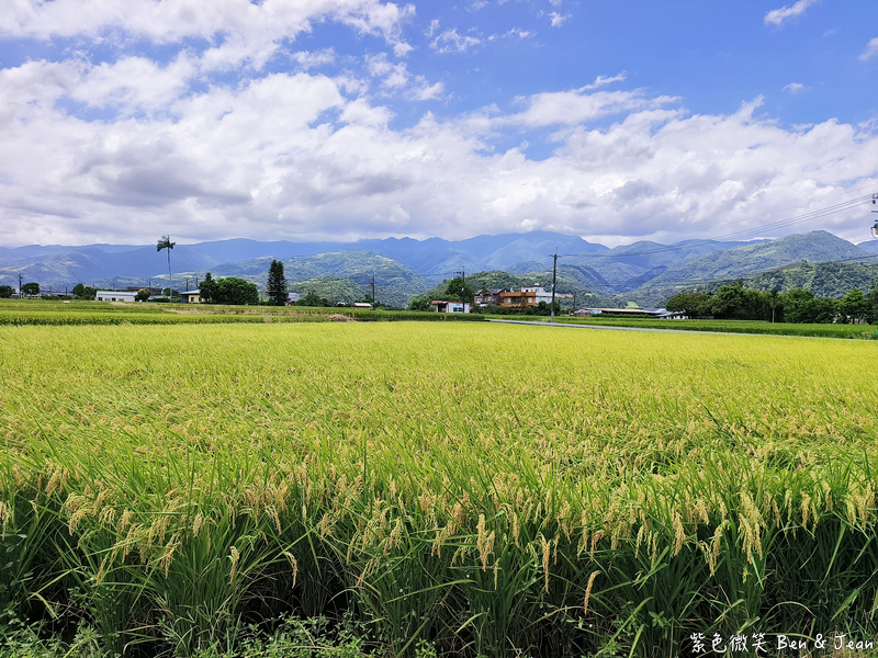 「一日蔥農」「一日製茶師」玩出更有深度的北台灣農遊趣 @紫色微笑 Ben Jean 饗樂生活