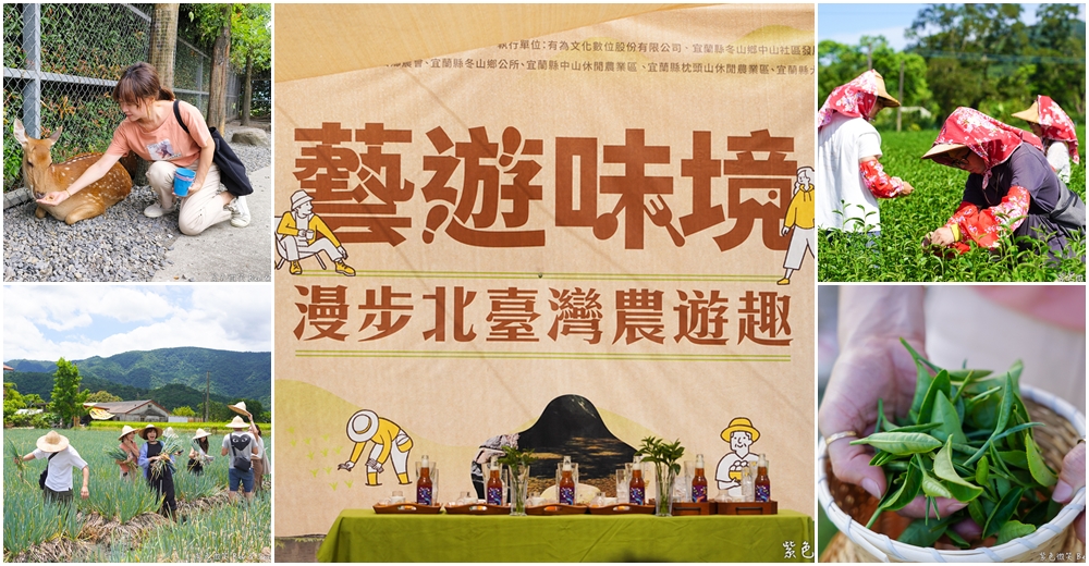 「一日蔥農」「一日製茶師」玩出更有深度的北台灣農遊趣 @紫色微笑 Ben Jean 饗樂生活