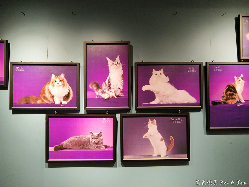 【伊熹鍋物】宜蘭羅東林場療癒系火鍋!可愛貓咪陪吃、Google 4.9星高評價美食 @紫色微笑 Ben Jean 饗樂生活 【伊熹鍋物】宜蘭羅東林場療癒系火鍋!可愛貓咪陪吃、Google 4.9星高評價美食 @紫色微笑 Ben Jean 饗樂生活