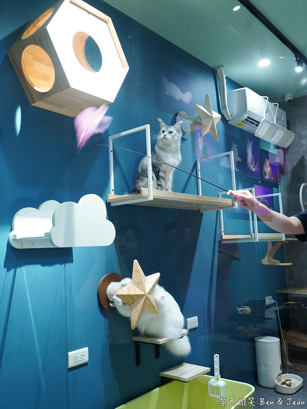 【伊熹鍋物】宜蘭羅東林場療癒系火鍋!可愛貓咪陪吃、Google 4.9星高評價美食 @紫色微笑 Ben Jean 饗樂生活