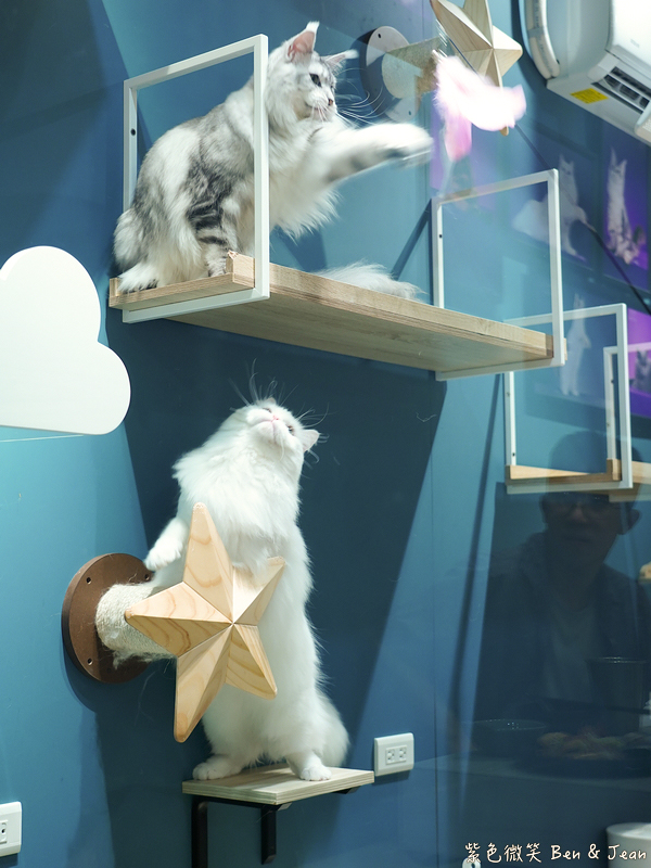 【伊熹鍋物】宜蘭羅東林場療癒系火鍋!可愛貓咪陪吃、Google 4.9星高評價美食 @紫色微笑 Ben Jean 饗樂生活