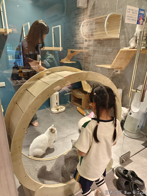 【伊熹鍋物】宜蘭羅東林場療癒系火鍋!可愛貓咪陪吃、Google 4.9星高評價美食 @紫色微笑 Ben Jean 饗樂生活 【伊熹鍋物】宜蘭羅東林場療癒系火鍋!可愛貓咪陪吃、Google 4.9星高評價美食 @紫色微笑 Ben Jean 饗樂生活