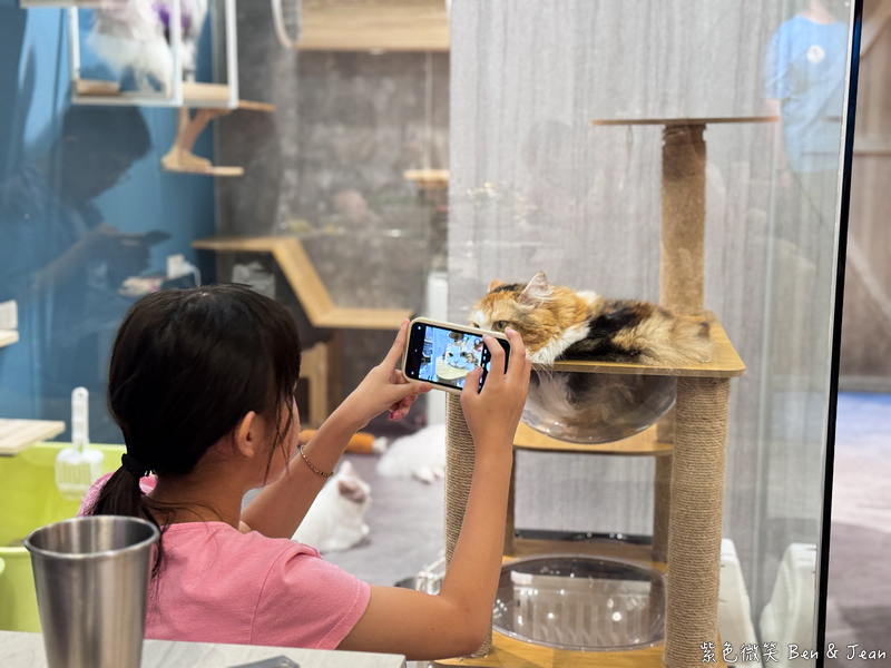 【伊熹鍋物】宜蘭羅東林場療癒系火鍋!可愛貓咪陪吃、Google 4.9星高評價美食 @紫色微笑 Ben Jean 饗樂生活 【伊熹鍋物】宜蘭羅東林場療癒系火鍋!可愛貓咪陪吃、Google 4.9星高評價美食 @紫色微笑 Ben Jean 饗樂生活