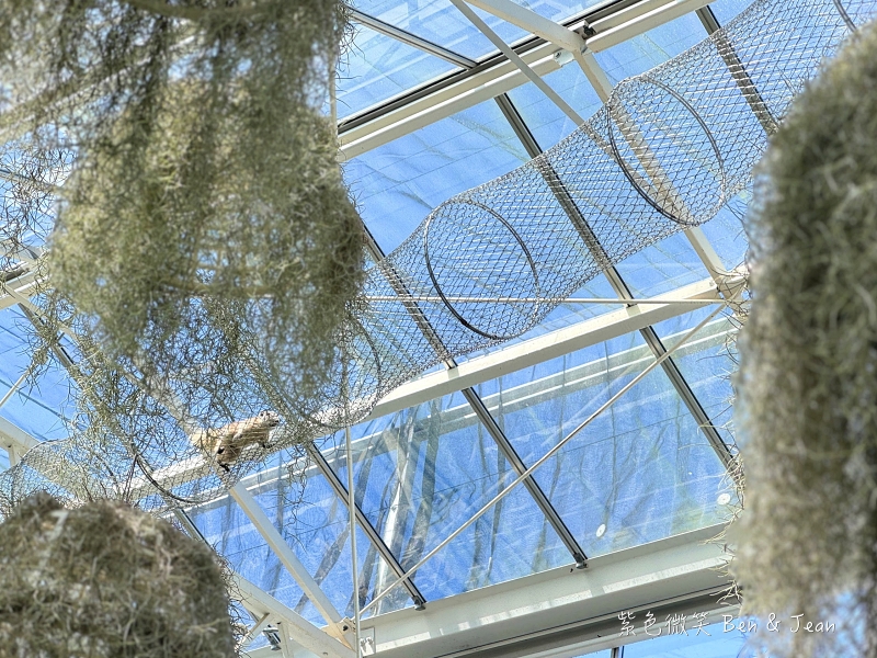 【蘭陽動植物王國】宜蘭必玩農場TOP13推薦+門票優惠!鵜鶘.樹懶.食蟻獸.泰迪羊.袋鼠.龍貓.冠鴿一次看 @紫色微笑 Ben Jean 饗樂生活 【蘭陽動植物王國】宜蘭必玩農場TOP13推薦+門票優惠!鵜鶘.樹懶.食蟻獸.泰迪羊.袋鼠.龍貓.冠鴿一次看 @紫色微笑 Ben Jean 饗樂生活