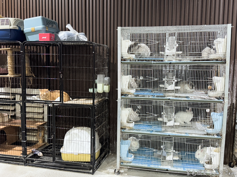 【塭底烤魚】老饕必訪海鮮熱炒名店，鹽烤台灣鯛尚出名 (含菜單) @紫色微笑 Ben Jean 饗樂生活